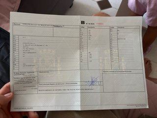 Remolque 1000e