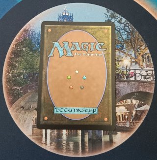 MAGIC - TOCASIA'S WELCOME