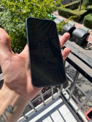 iPhone 13 Pro Max / 95% Bateria