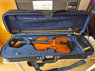 Violín profesional 4/4