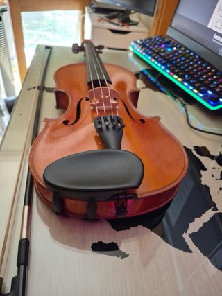 Violín profesional 4/4