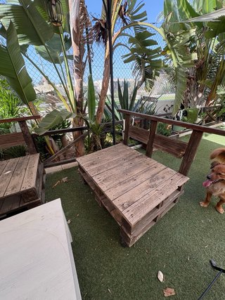 Conjunto de muebles de jardín de palets