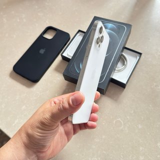 iPhone 12 Pro Max Silver 256GB