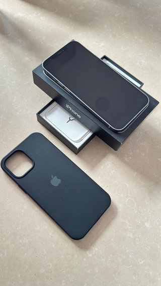 iPhone 12 Pro Max Silver 256GB