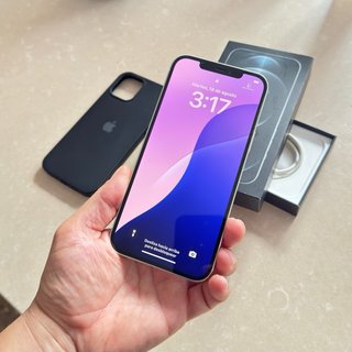 iPhone 12 Pro Max Silver 256GB