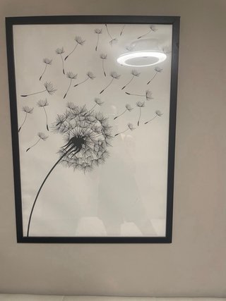 2 Cuadros Diente de León y Amor