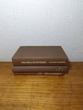 Lote 22 Libros Narrativa Internacional Variada