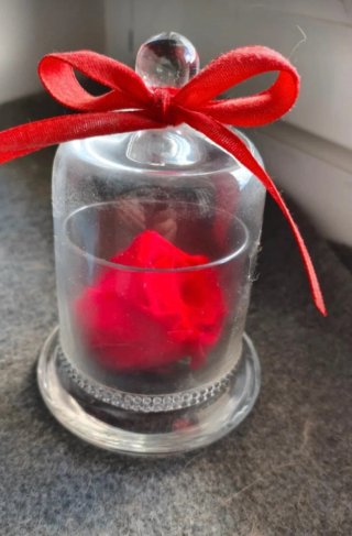 Campana di vetro con rosa rossa