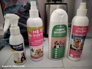 Arnés y correa para perro