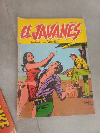 Varios comics 9 de mandrake el javanes la masa