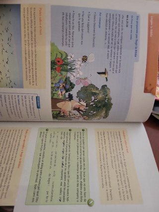Religió catòlica 6 : [6è : cicle superior : edu...