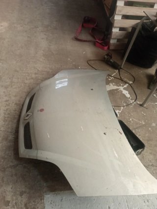 Capó Renault Scenic
