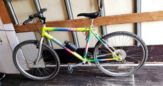 BICICLETA SPRINT