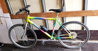 BICICLETA SPRINT