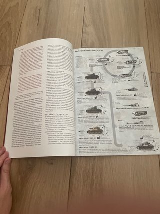 Libro Desperta Ferro Panzer Volumen 2