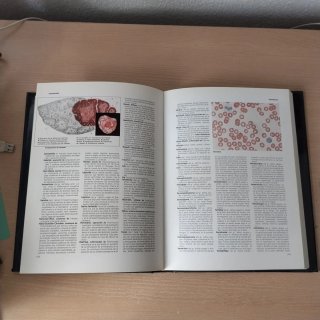 Gran Vox, Diccionario de Medicina
