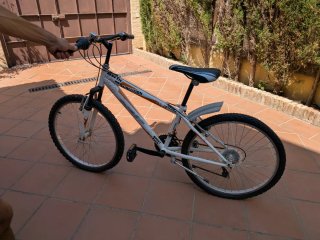 Bicicleta de montaña Evolution