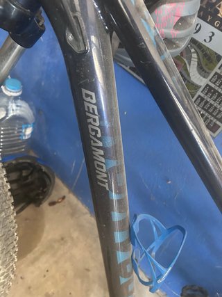 Bicicleta Montaña Bergamont Revox 5 29 2021 Mujer