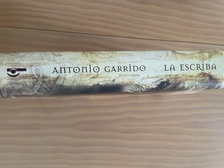 LA ESCRIBA (Spanish Edition)