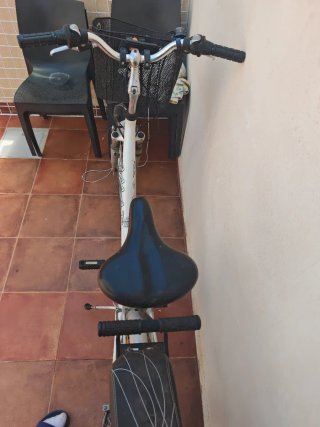 Bicicleta blanca con cesta y sillín trasero