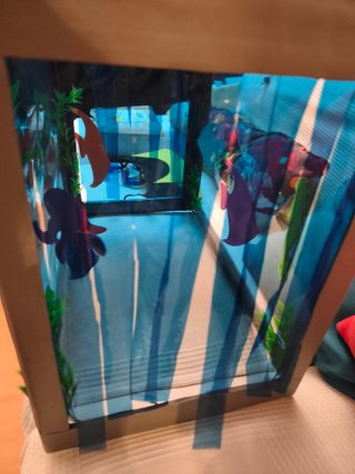 Disfraz Acuario Casero Infantil