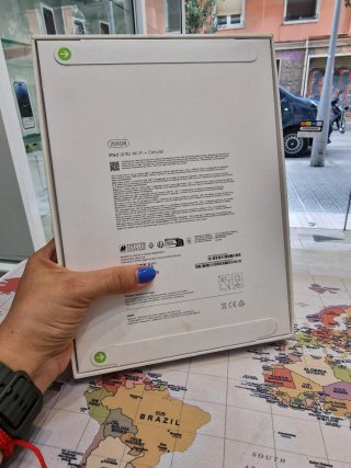 iPad (A 16) 256GB Gris Wi-Fi Celular