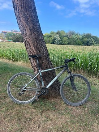 Bicicleta de Montaña Decathlon