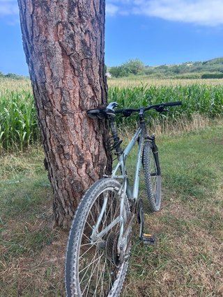 Bicicleta de Montaña Decathlon