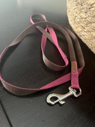 Lote Cama y Correas Perro Pequeño