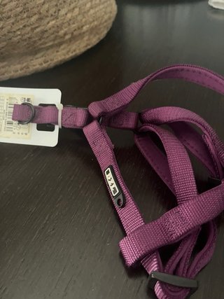 Lote Cama y Correas Perro Pequeño