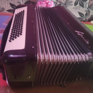 Acordeón Profesional Negro  Marca baile