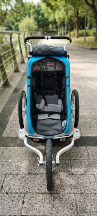 Thule Chariot Cougar 1