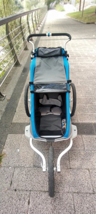 Thule Chariot Cougar 1