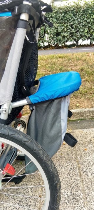 Thule Chariot Cougar 1