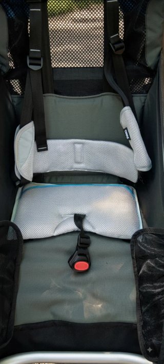 Thule Chariot Cougar 1
