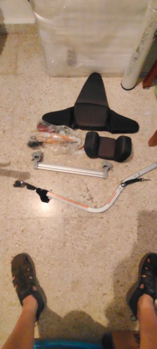 Thule Chariot Cougar 1