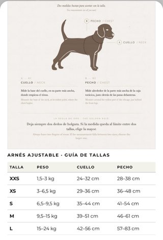 Arnés para perro rojo y morado