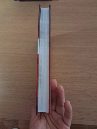 El gatito que se perdió en el inframundo