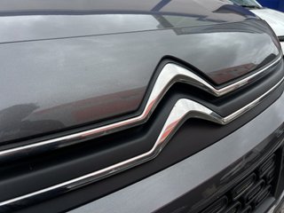 Citroën Berlingo Talla M BlueHDi 100 S&S FEEL
