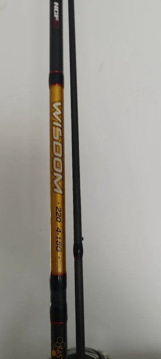 Caña de pescar Wisdom 220 4-18G Daiwa fuego 2000