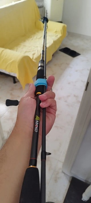 Caña de pescar Wisdom 220 4-18G Daiwa fuego 2000