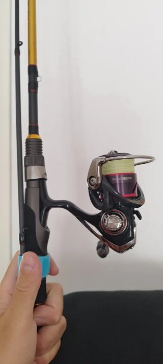 Caña de pescar Wisdom 220 4-18G Daiwa fuego 2000