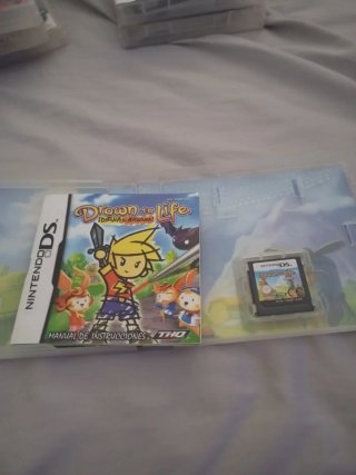 Drawn to Life DS (Nintendo)