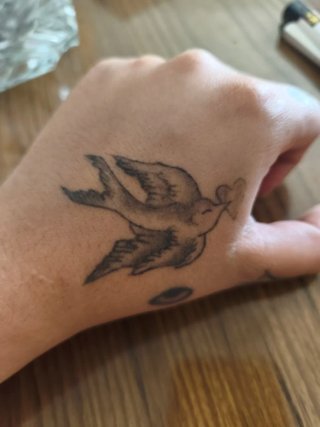 Tatuaje