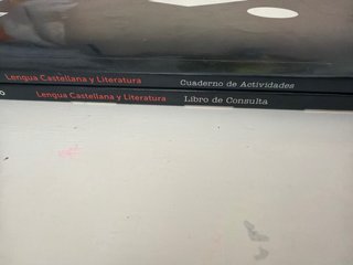 Lengua castellana y literatura 2 bachillerato :...