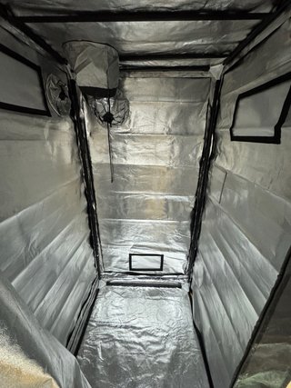 Kit Cultivo Indoor Completo