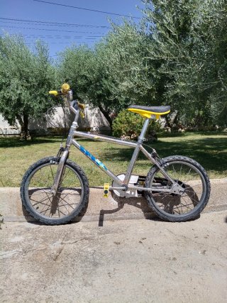 Bicicleta infantil plateada