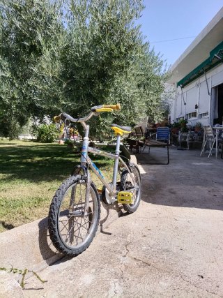 Bicicleta infantil plateada