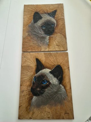Pareja Gatos Siameses sobre Hojas