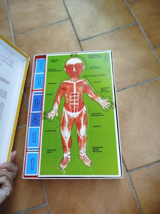 Juego Cómo es mi cuerpo años 80